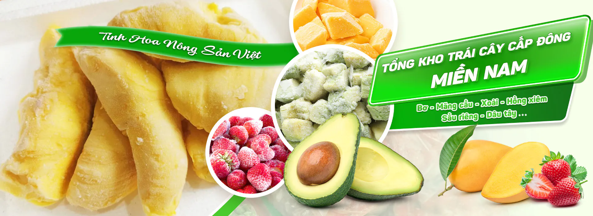 Giới Thiệu Về Trái Cây Đông Lạnh Kim Nguyên Fruit