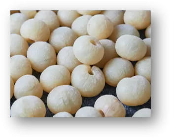 Nhãn có vỏ, Nhãn không vỏ có hạt, Nhãn không vỏ tách hạt Đông Lạnh